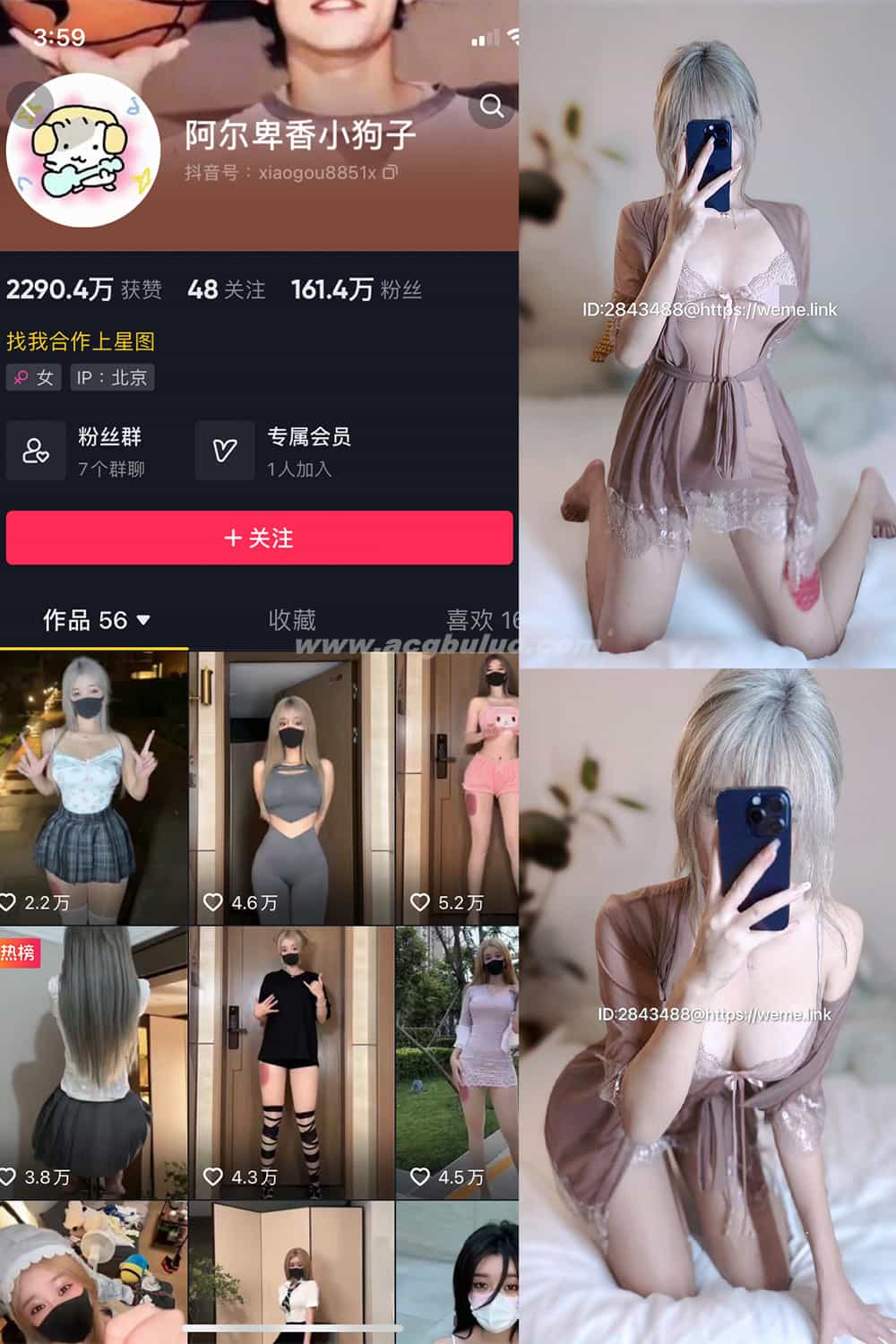抖音 阿尔卑香小狗子 微密圈 NO.016期 【33P】(抖音阿尔卑香小狗子维密圈免费)插图